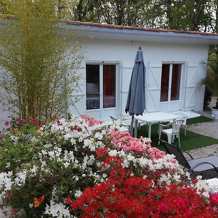 Chalet A Louer Pres De Dax Mees Ngoại thất bức ảnh