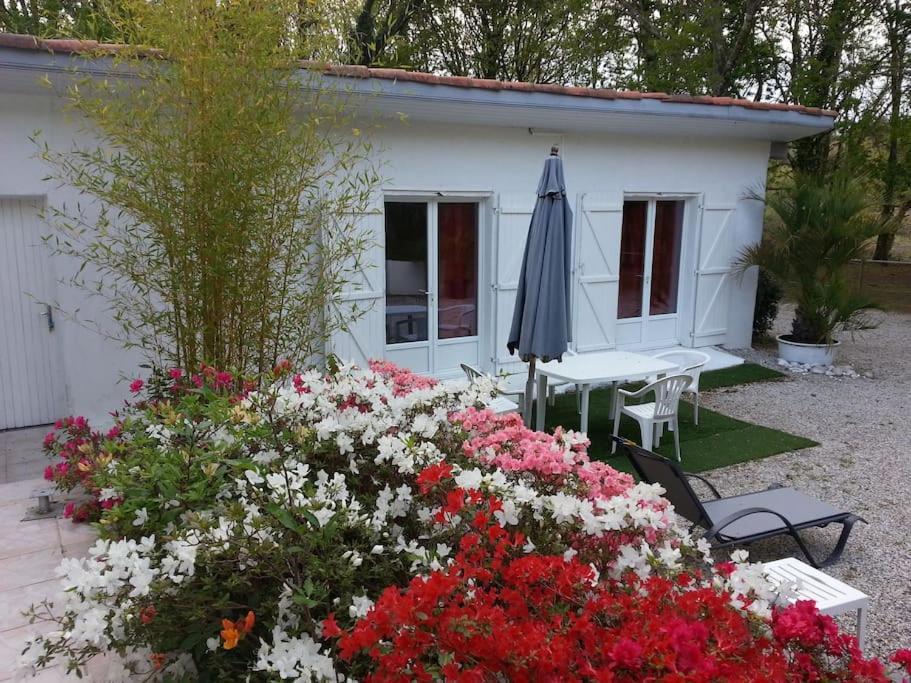 Chalet A Louer Pres De Dax Mees Ngoại thất bức ảnh